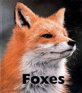 Foxes