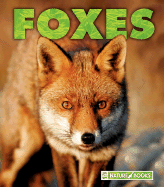 Foxes - McDonald, Mary Ann