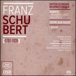 Franz Schubert: Entdeckungen, Bearbeitungen - Barbara Berens (soprano); Martin Nagy (tenor); Steffen Lachenmann (baritone); Kammerchor Potsdam (choir, chorus);...