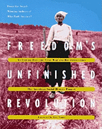 Freedom's Unfinished Revolution: Civil War and Reconstruction