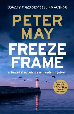 Freeze Frame: An engrossing instalment in the cold-case Enzo series (The Enzo Files Book 4) - May, Peter