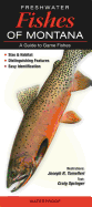 Freshwater Fishes of Montana: A Guide to Game Fishes