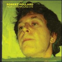 From a Compound Eye - Robert Pollard