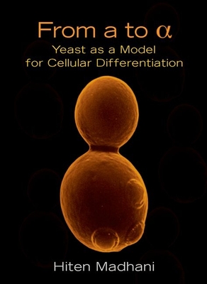 From A to Alpha: Yeast as a Model for Cellular Differentiation - Madhani, Hiten D