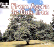 From Acorn to Oak Tree - Kottke, Jan