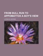 From Bull Run to Appomattox; A Boy's View