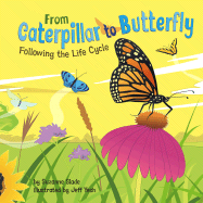 From Caterpillar to Butterfly: Following the Life Cycle