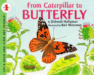 From Caterpillar to Butterfly - Heiligman, Deborah