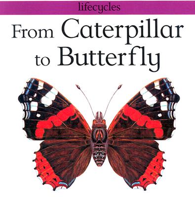 From Caterpillar to Butterfly - Legg, Gerald Scrace