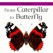 From Caterpillar to Butterfly