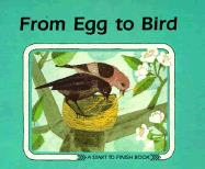 From Egg to Bird