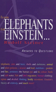 From Elephants to Einstein . . .: Answers to Questions