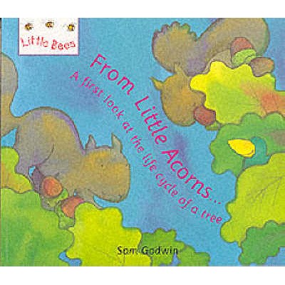From Little Acorns...: A first look at the life cycle of a tree - Godwin, Sam