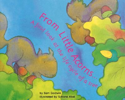 From Little Acorns ...: A First Look at the Life Cycle of a Tree - Godwin, Sam