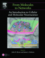From Molecules to Networks: An Introduction to Cellular and Molecular Neuroscience