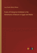 Fruits of Enterprize Exhibited in the Adventures of Belzoni in Egypt and Nubia