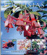 FUCHSIAS, REVISED