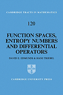 Function Spaces, Entropy Numbers, Differential Operators