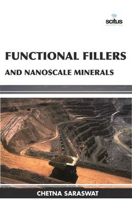 Functional Fillers and Nanoscale Minerals - Saraswat, Chetna