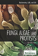Fungi, Algae, and Protists