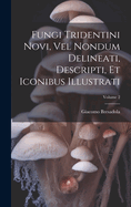 Fungi Tridentini Novi, Vel Nondum Delineati, Descripti, Et Iconibus Illustrati; Volume 2