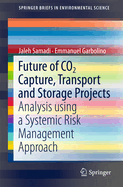 Future of Co2 Capture, Transport and Storage Projects: Analysis Using a Systemic Risk Management Approach