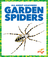 Garden Spiders