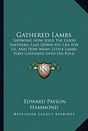 Gathered Lambs: Showing How Jesus The Good Shepherd Laid Down His Life For Us, And How Many Little Lambs Have Gathered Into His Fold (1883) - Hammond, Edward Payson