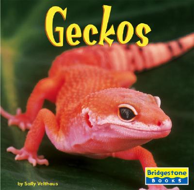 Geckos - Velthaus, Sally