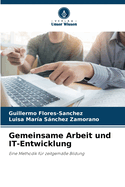 Gemeinsame Arbeit und IT-Entwicklung