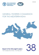 General Fisheries Commission for the Mediterranean: report of the thirty-eighth session, FAO Headquarters, Rome, Italy, 19-24 May 2014