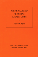 Generalized Feynman Amplitudes