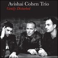 Gently Disturbed - Avishai Cohen Trio