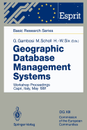 Geographic Database Management Systems: Workshop Proceedings Capri, Italy, May 1991