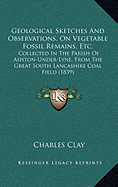 Geological Sketches And Observations, On Vegetable Fossil Remains, Etc.: Collected In The Parish Of Ashton-Under-Lyne, From The Great South Lancashire Coal Field (1839) - Clay, Charles