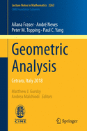 Geometric Analysis: Cetraro, Italy 2018