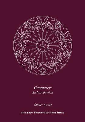 Geometry an Introduction - Ewald, Gunther, and Struve, Horst (Foreword by), and Pambuccian, Victor (Translated by)