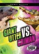 Giant Otter vs. Caiman
