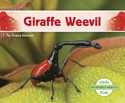 Giraffe Weevil - Hansen, Grace