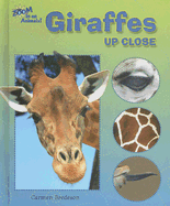 Giraffes Up Close - Bredeson, Carmen