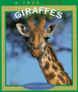 Giraffes - Lepthien, Emilie U