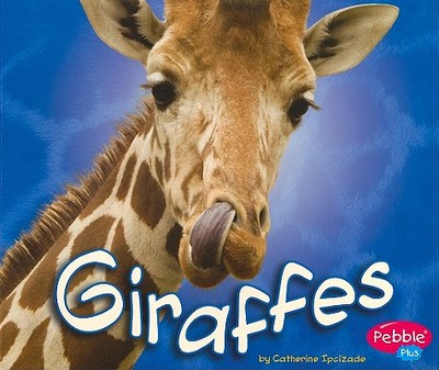 Giraffes - Ipcizade, Catherine