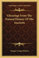 Gleanings From The Natural History Of The Ancients
