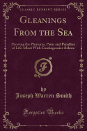 Gleanings from the Sea: Showing the Pleasures, Pains and Penalties of Life Afloat with Contingencies Ashore (Classic Reprint)