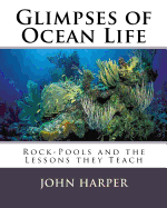 Glimpses of Ocean Life: Rock-Pools and the Lessons they Teach