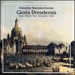 Gloria Dresdensis