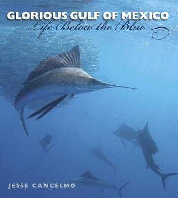 Glorious Gulf of Mexico: Life Below the Blue Volume 28 - Cancelmo, Jesse, and Tunnell, John W (Foreword by)