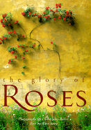 Glory of Roses