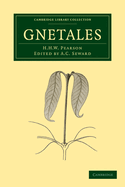 Gnetales