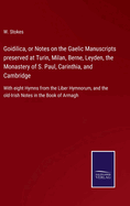 Goidilica, or Notes on the Gaelic Manuscripts preserved at Turin, Milan, Berne, Leyden, the Monastery of S. Paul, Carinthia, and Cambridge: With eight Hymns from the Liber Hymnorum, and the old-Irish Notes in the Book of Armagh